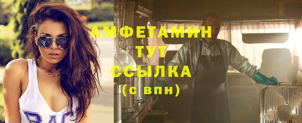 прущий лед Бородино