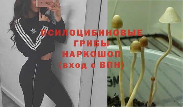 прущий лед Бородино
