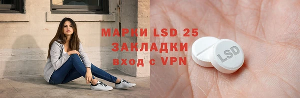 прущий лед Бородино