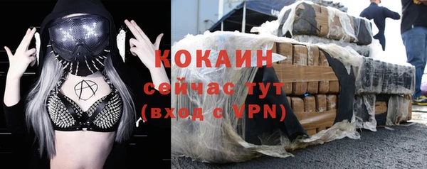 прущий лед Бородино