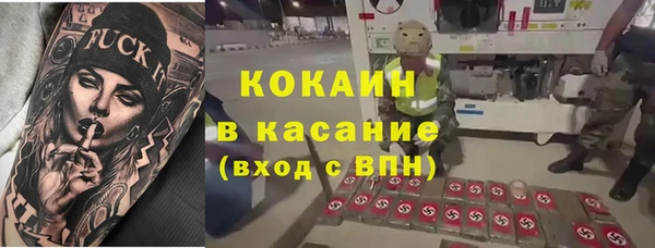 прущий лед Бородино