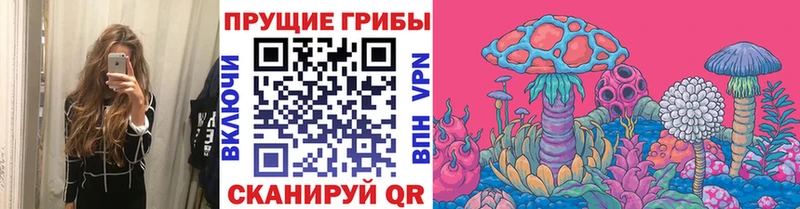что такое наркотик  МЕГА ссылка  Псилоцибиновые грибы прущие грибы  Вилючинск 